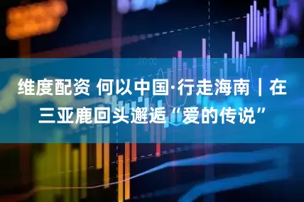 维度配资 何以中国·行走海南｜在三亚鹿回头邂逅“爱的传说”
