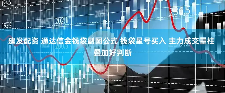 建发配资 通达信金钱袋副图公式 钱袋星号买入 主力成交量柱 叠加好判断
